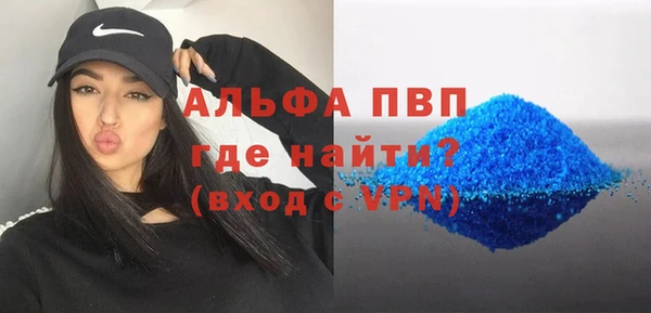 индика Алексин