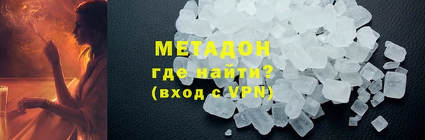 индика Алексин