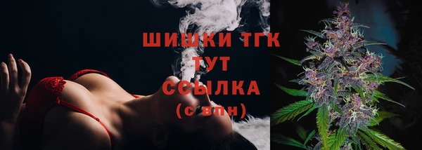 ГАЛЛЮЦИНОГЕННЫЕ ГРИБЫ Алзамай