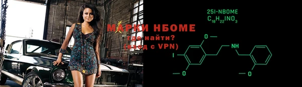 индика Алексин