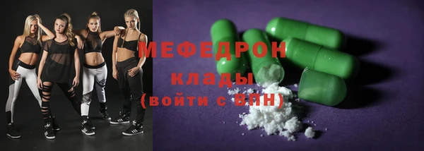 индика Алексин