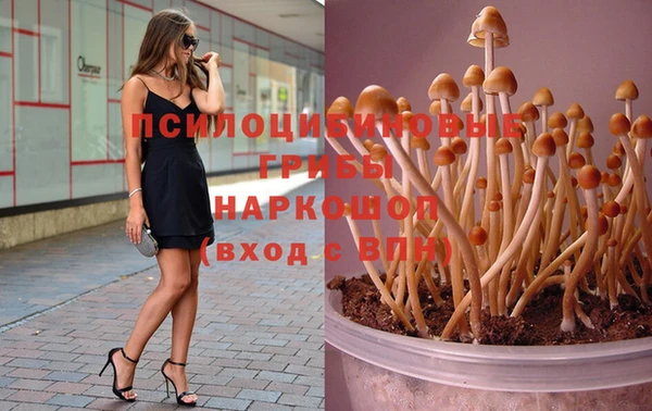 наркотики Алексеевка