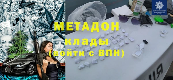 индика Алексин