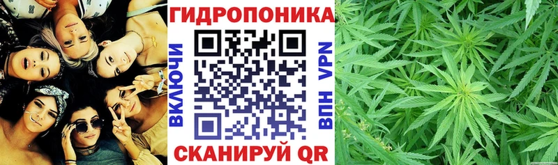 Каннабис семена  цены   Октябрьский 